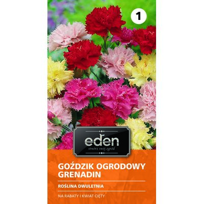 Goździk ogrodowy Grenadin 0,5 g Eden