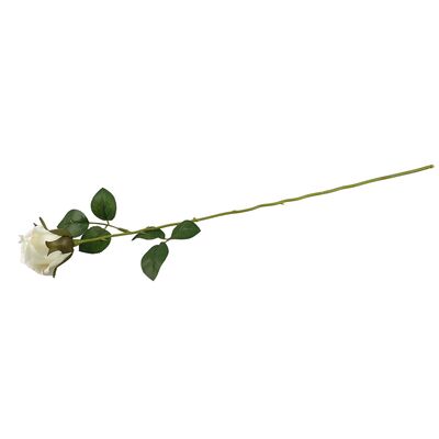 Róża pojedyncza biała 56 cm