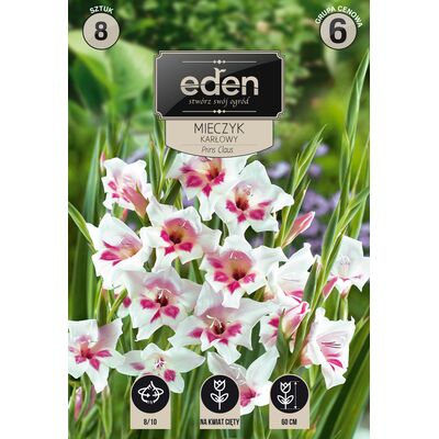 Mieczyk karłowy Prins Claus 8 sztuk Eden