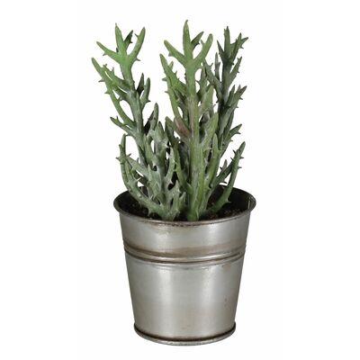 Uniglob Sztuczny kwiat w doniczce metalowej sukulent 2 16 cm