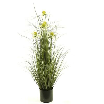 Trawa w doniczce 90 cm