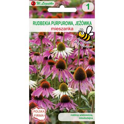 Rudbekia purpurowa mieszanka 90-100 cm W.Legutko