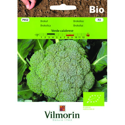 Brokuł BIO Clabrese Natalino 1 g Vilmorin Garden
