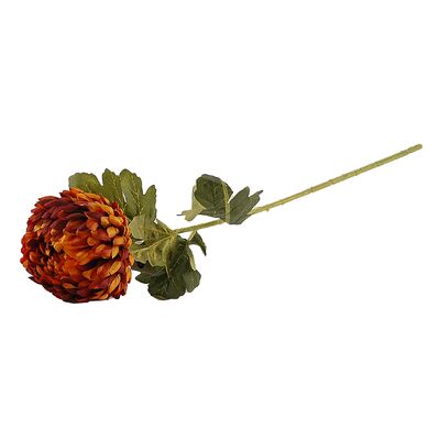 Chryzantema pojedyncza 75 cm pomarańczowo-brązowa