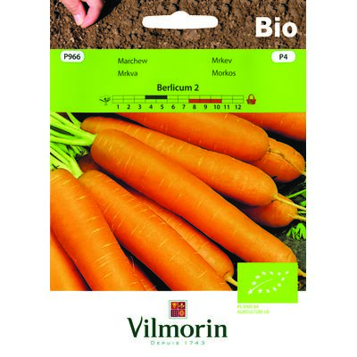 Marchew jadalna BIO Berlikum 2 - 5 g Vilmorin Garden