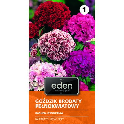 Goździk brodaty pełnokwiatowy 0,5 g Eden