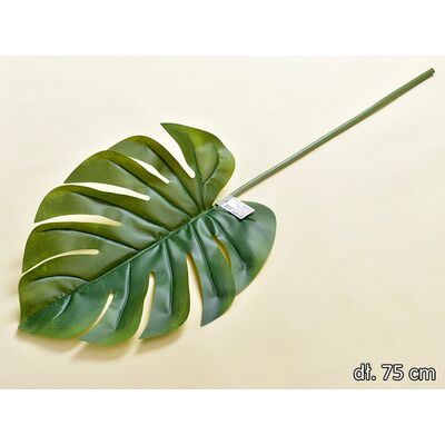 Liść monstery pojedynczy