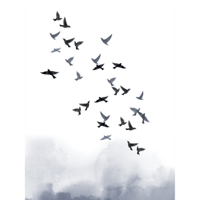 Plakat 30 x 40 cm Ptaki Niebieskie