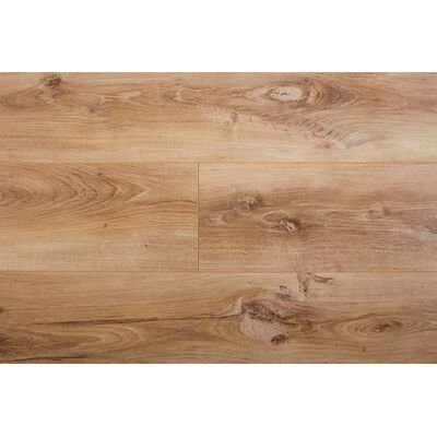 Panele podłogowe Dąb Piemonte 19025 AB Premium