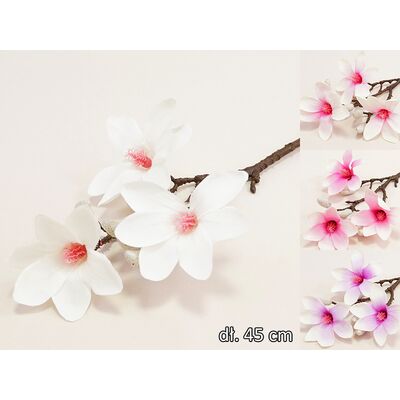 Magnolia 45 cm
