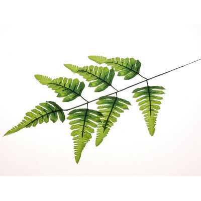 Liść paproci gałązka