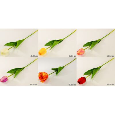Tulipan pojedynczy 54 cm