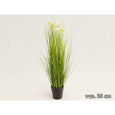 Trawa w doniczce 58 cm