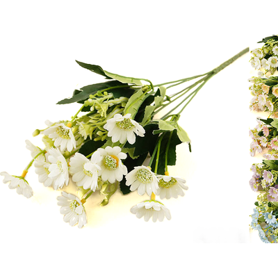 Stokrotka bukiet x 6