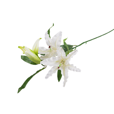 Lilia pojedyncza 85 cm