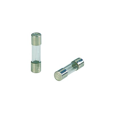 Bezpiecznik 10 A 2 sztuki Duwi