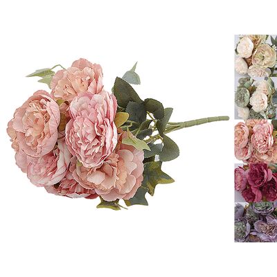 Peonia bukiet x 7