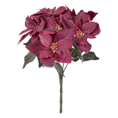 Bukiet 5 poinsecji ośnieżonych 50 cm