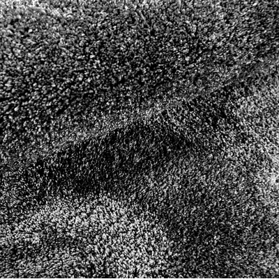 Dywan MILO 80 x 100 cm mix kolorów