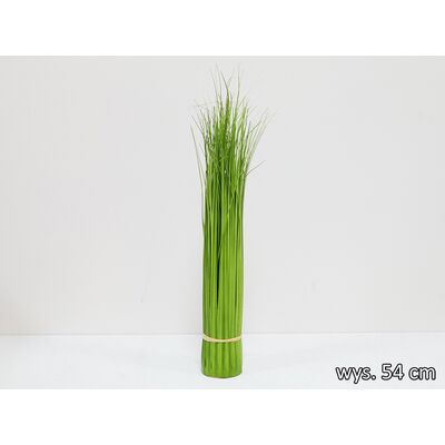 Trawa w wiązce 54 cm