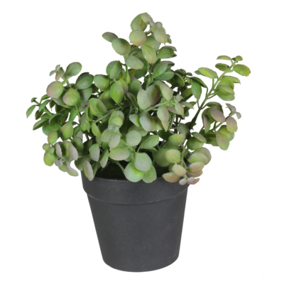 Sztuczny kwiat w doniczce HERBS 2 20 cm zielony