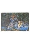 Podkładka na biurko piankowa gepard 60x40cm