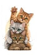 Diamentowa mozaika Kotki trzy 30x40cm 1008277 Norimpex