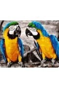 Diamentowa mozaika Papugi dwie Ara Arararuna 30x40cm 1009425 Norimpex