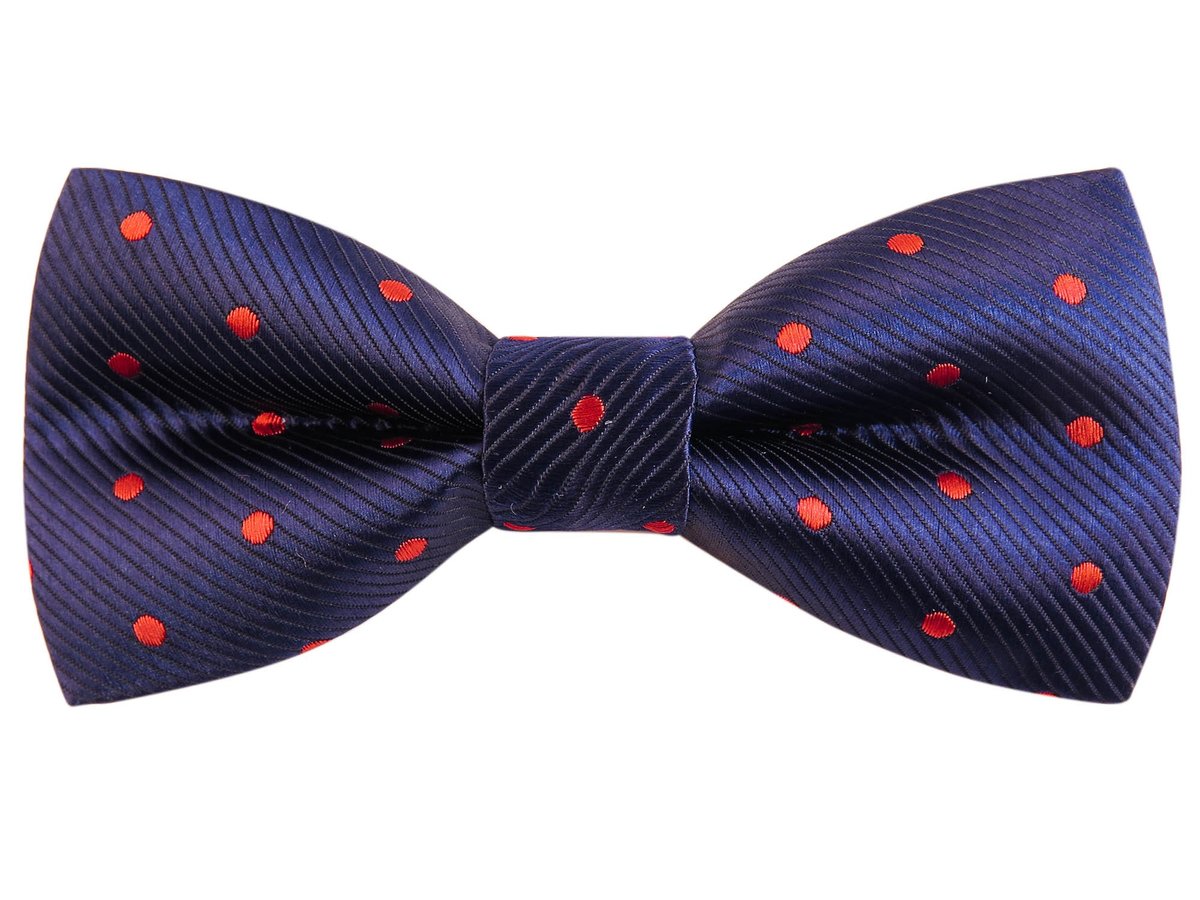 Granatowa mucha w czerwone kropki C9