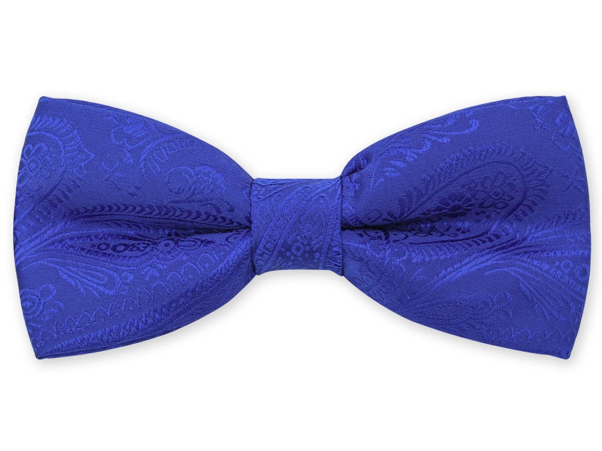 Niebieska mucha we wzór paisley C2