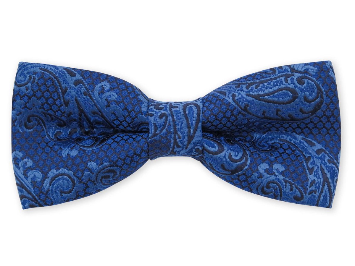 Niebieska mucha we wzór paisley C4