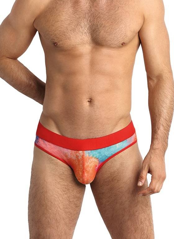 Slipy męskie | Falcon slip | Anais-XL