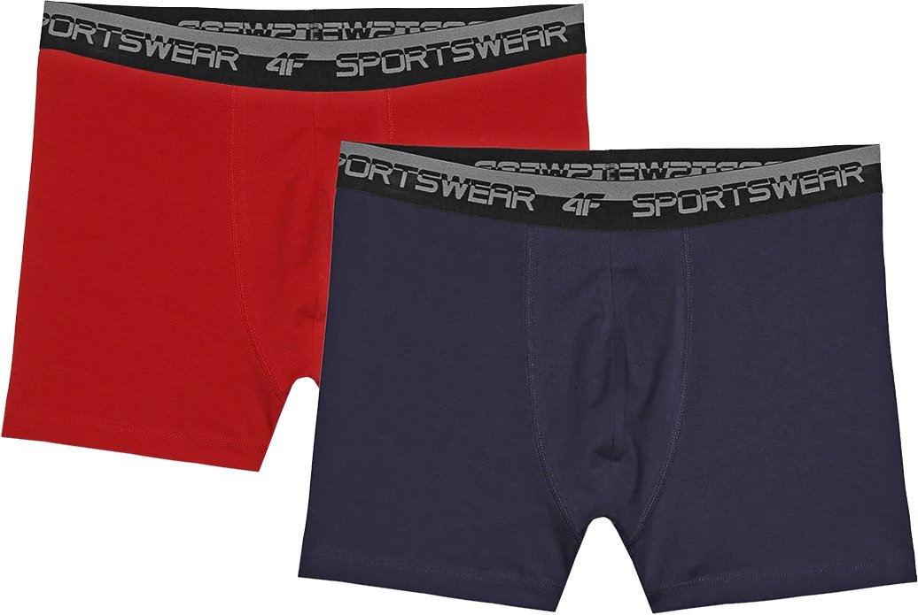 Bielizna męska bokserki 4F 4FWSS24UBXSM036 2-pack  r.M