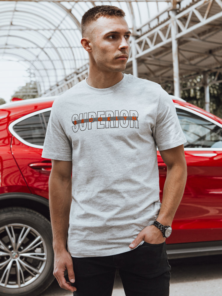 Koszulka męska z nadrukiem szara Dstreet RX5385-M