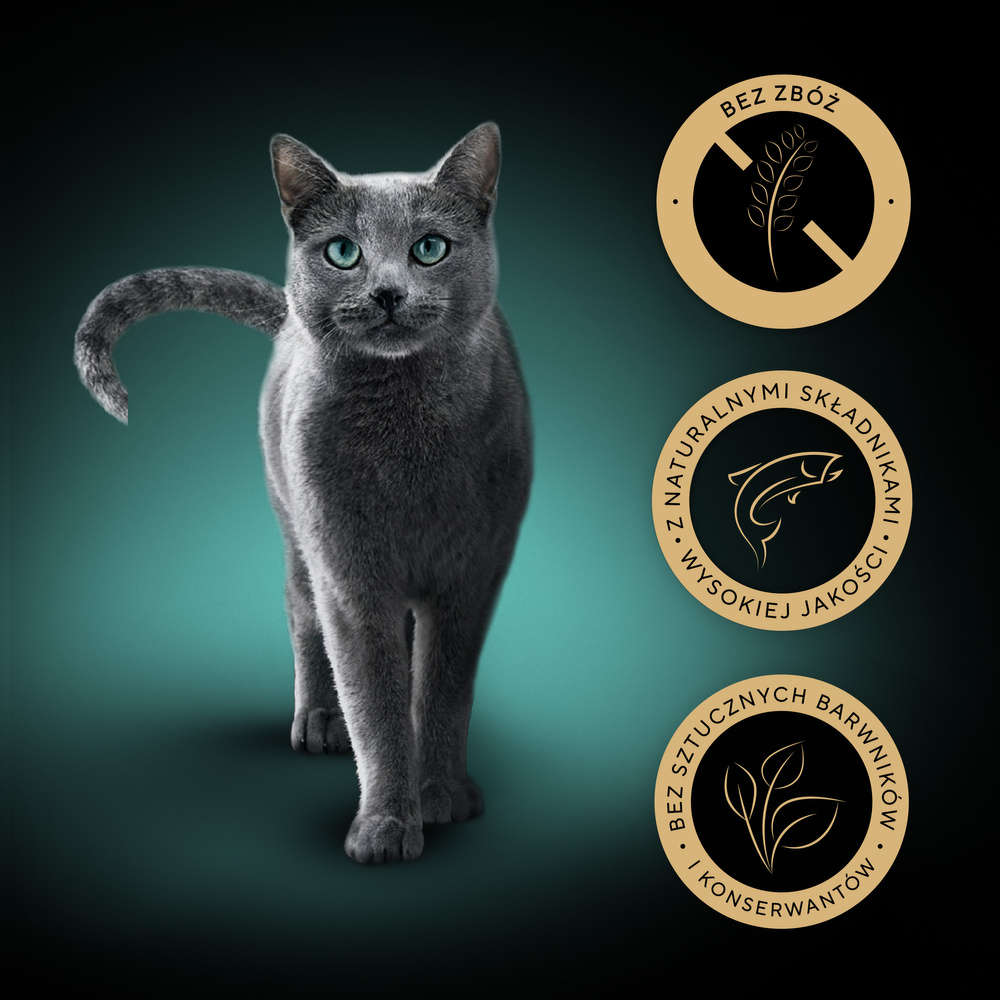 SHEBA Nature’s Collection tacka 22x85 g – mokra karma pełnoporcjowa dla dorosłych kotów, kawałki z łososiem przybranym groszkiem, w sosie