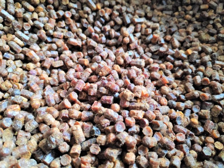 Pierzga pszczela 1kg super wzmocnienie