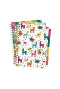 Pukka Pad Pukka Project Book Colour Wash B5 linia 100 kartek