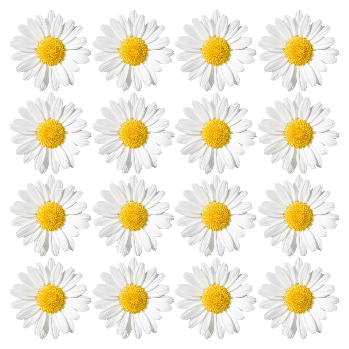 Naklejki na ścianę meble naklejka kwiaty stokrotki 19 cm, łąka duży zestaw 50 szt, arkusz 200x100 cm