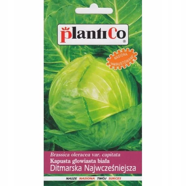 Plantico Kapusta głąbiasta Ditmarska