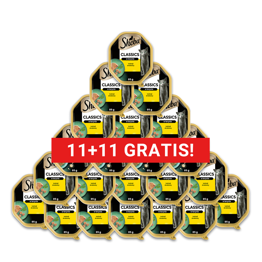 SHEBA Classics tacka 22x85 g – mokra karma pełnoporcjowa dla dorosłych kotów, koktajl drobiowy, w terynie (11+11 GRATIS!!)