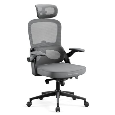 Fotel biurowy, ergonomiczny Diablo V-Light: szary