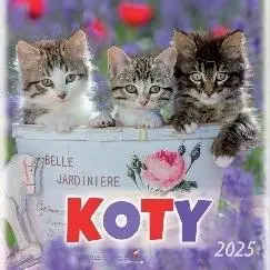 Kalendarz 2025 wieloplanszowy Koty - Artsezon