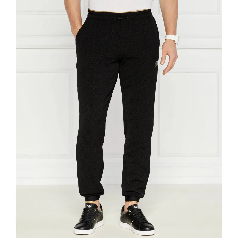 EA7 Spodnie dresowe | Regular Fit