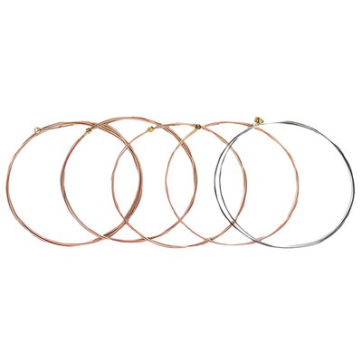 Struny ROAD DOG AC11