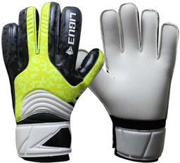 Rękawice bramkarskie Ligue Defender white-black-green