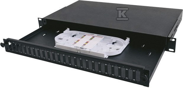 Panel 19