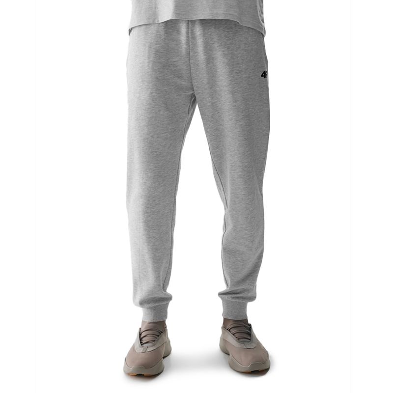 Spodnie 4F WSS24TTROM60327M - szare