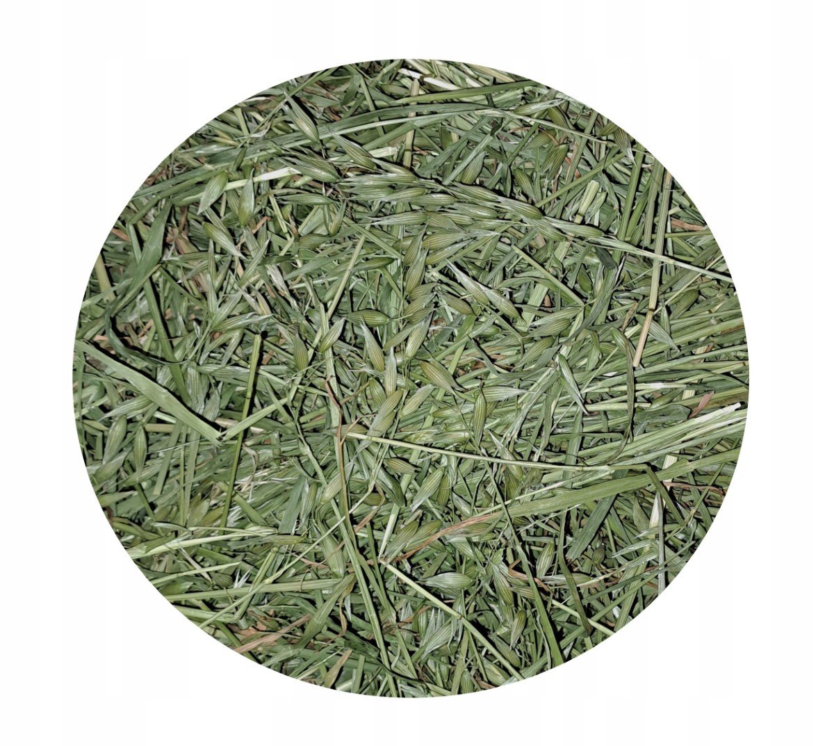 Owies cały zwyczajny ziele owsa całe 1 kg