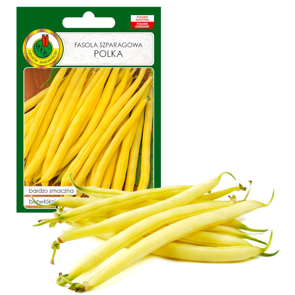 FASOLA SZPARAGOWA KARŁOWA POLKA NASIONA BEZ GMO