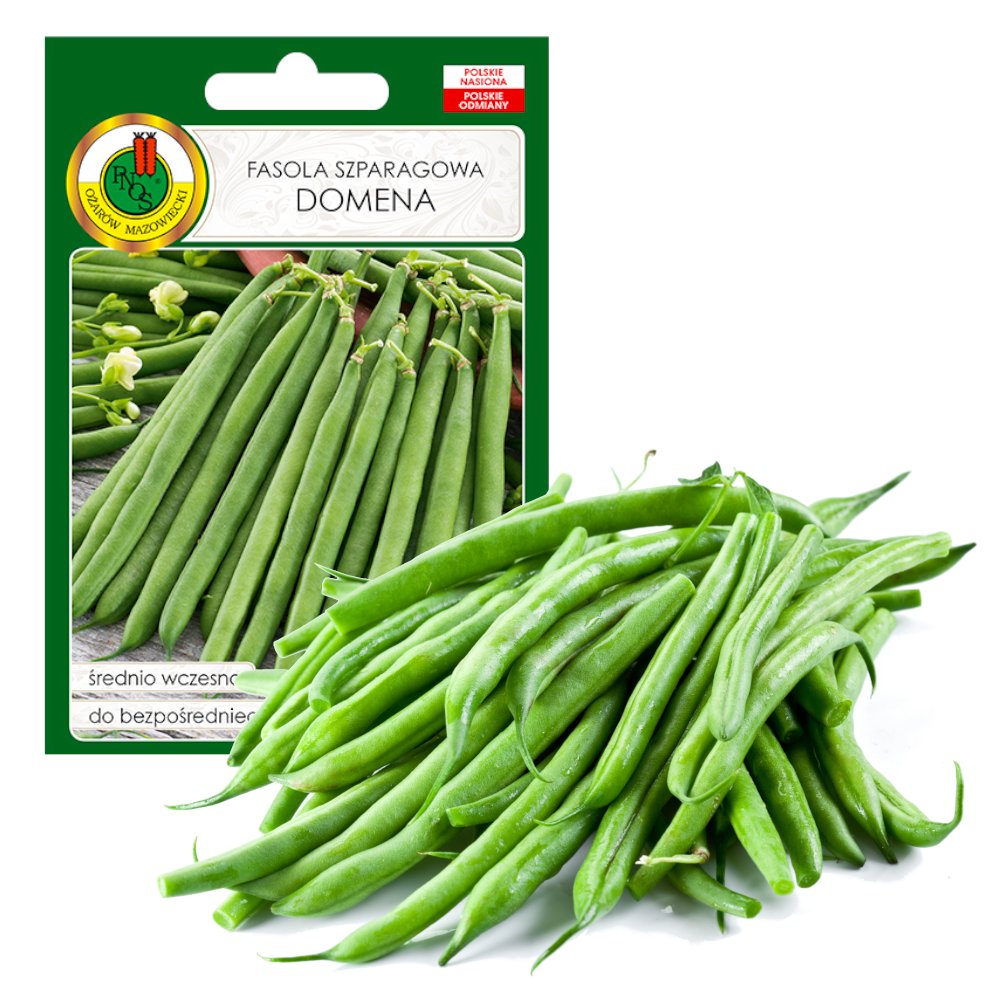 FASOLA SZPARAGOWA KARŁOWA DOMENA NASIONA BEZ GMO